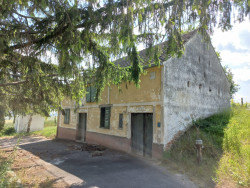 Kellergasse in Martinsdorf