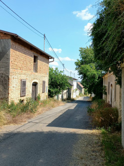 Kellergasse in Martinsdorf