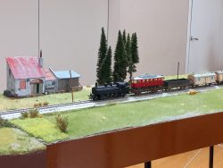 Ein Güterzug rollt am Bayerhof vorbei