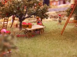 Obwohl deutlich näher, kamen diese Äpfel nie beim Großmarkt an ... 🤔